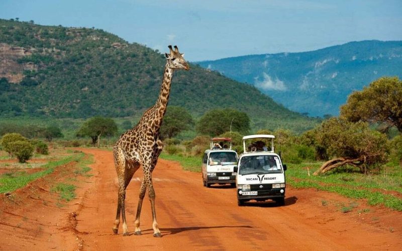 tsavo-east-national-park2